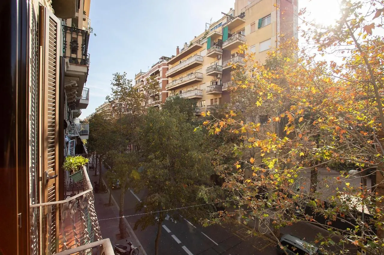 Eixample Apartments - Cava Barcelona 0*,  Spain